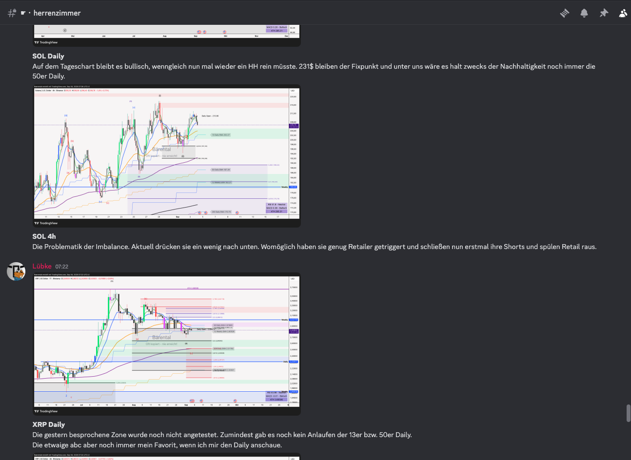 Bärental Burganalysen